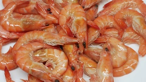 4k, fresh shrimps rotate isolate on white background Stock Footage 82453295