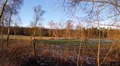 4k Frosty marshland meadow panning with trees and wire fence in foreground 4k or 4k+ Resolution
