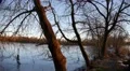 4k Frozen lake panning with trees and pathway between ponds 4k or 4k+ Resolution