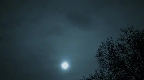 4K Full Moon and Winter Tree Silhouette Scary Night Timelapse 2 Video stock 64557402