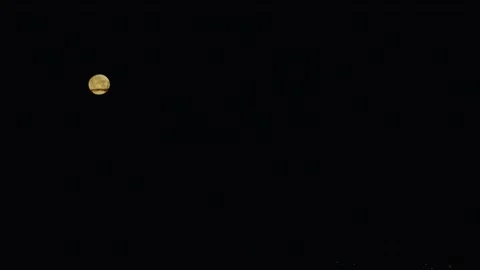 4K Full Moon with a piece of branch at dark sky and a little city lights Video stock 130943363