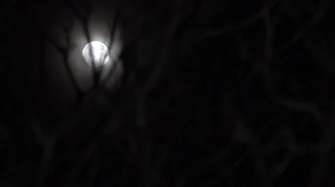 4K Full moon rise dark sky forest tree branch darkness astral celestial mystical Video stock 60632520