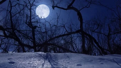 4K Full Moon Shining Through Silhouetted Bare Tree Branches at Night Video stock 334439756