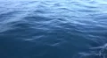 4k Full screen blue water Flores Sea while boat is moving 4k or 4k+ Resolution