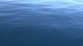 4k Full screen blue water Flores Sea while boat is moving 4k or 4k+ Resolution