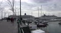 4k Funchal harbor panning with cruise ships and boats in Madeira 4k or 4k+ Resolution