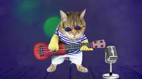4K funny Bengal cat dressed up in costume with guitar on stage with microphone Vidéo 171546035