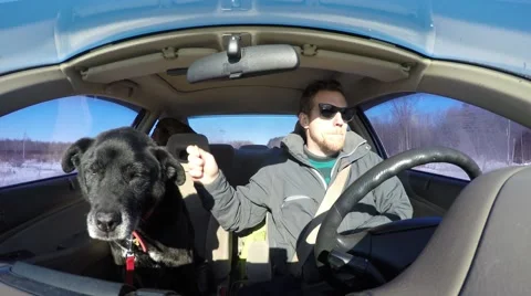 4k funny guy air drumming in the car with his dog Stock Footage 46484096