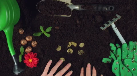 4k Gardening Composition of Hands Finding in Soil Money Coins Stock Footage