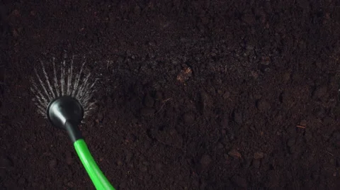 4k Gardening Composition of Water Pouring on Soil Stock Footage