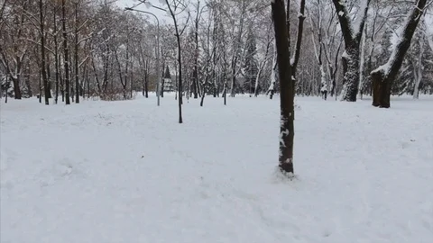 4K The general shot of the winter park and the shot of a girl walking along it 스톡 동영상 102325524
