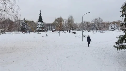 4K The general shot of the winter park with Christmas Tree Video stock 102573149