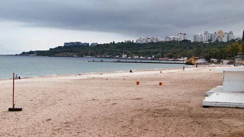 4K General view of spring beach full of seagulls and a few people on there Stock-Footage 99933005