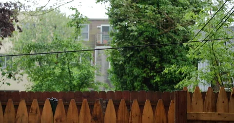 4K GENERIC MEDIUM SHOT OF WOOD FENCE WITH TREES Stock Footage 131127410