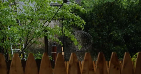 4K GENERIC SHOT OF A BACKYARD WITH A FENCE IN THE RAIN Stock Footage 131127545