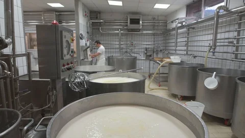 4K genuine mozzarella production process Video stock 92301357