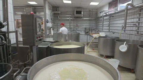 4K genuine mozzarella production process Video stock 92301378