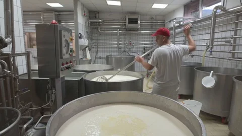 4K genuine mozzarella production process Video stock 92301384