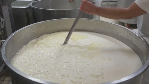 4K genuine mozzarella production process Stock Footage 92301470