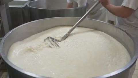 4K genuine mozzarella production process Stock Footage 92301471