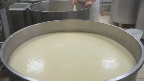 4K genuine mozzarella production process Stock Footage 92301485