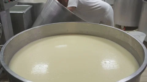 4K genuine mozzarella production process Stock Footage 92301506