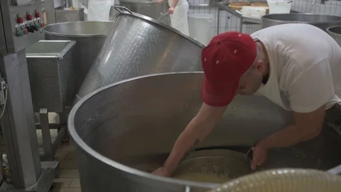4K genuine mozzarella production process Video stock 92301522