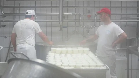 4K genuine mozzarella production process Video stock 92301571