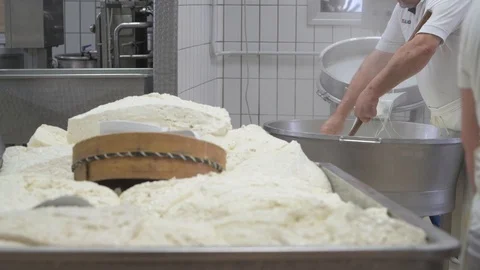4K genuine mozzarella production process Stock Footage 92303918