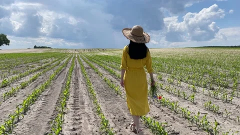 4k Girl in a straw hat steps across a field with wildflowers in a hand. Stock Footage 156479136