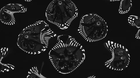 4k Glamorous black liquid background ferrofluid Stock-Footage 91958463