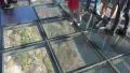 4k Glass bottom tilt up Madeira sightseeing Cabo Girao 4k or 4k+ Resolution