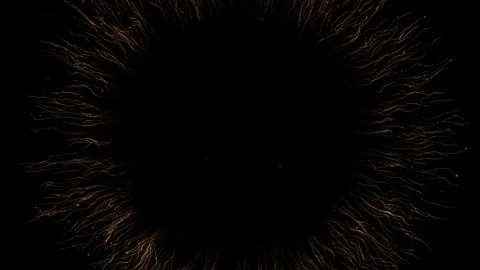 4K Gold Explosion effect. Festive Fireworks. Isolated on black background. Stock Footage 256971789