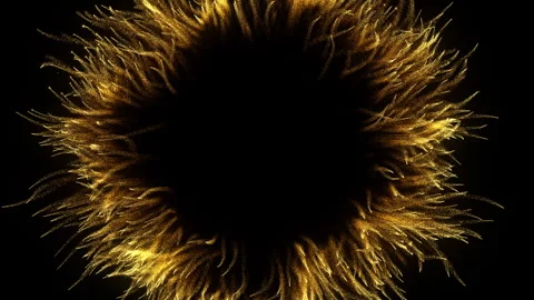 4K Gold Explosion effect. Festive Fireworks. Isolated on black background. Stock Footage 256972907