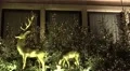 4k Golden bucks christmas decoration at Christmas market 4k or 4k+ Resolution