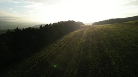 4K golden fields Stock Footage 245718014
