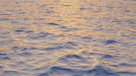 4K Golden Hour Sunlight Reflection Rippling Water Surface Sunset Видео 339269956
