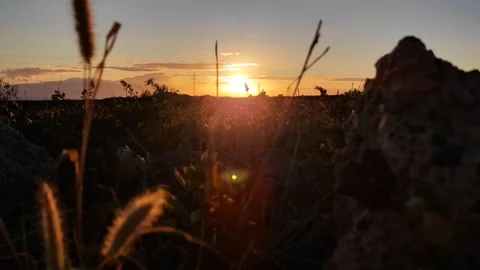 4K Golden Hour Sunset through Coastal Grass and Volcanic Rocks - Tenerife Video stock 334786187