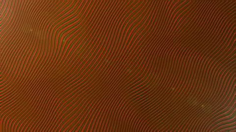 4K Golden Lines and Waves Background Animation Stock Footage 319954471