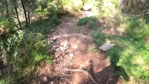 4K gopro POV running technical downhill 库存影片 278021014