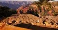 4K Grand Canyon North Rim 02 Tilt Up Cape Royal 4k or 4k+ Resolution