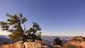 4K Grand Canyon North Rim 05 Tilt Down Cape Royal 4k or 4k+ Resolution