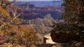 4K Grand Canyon North Rim 10 Tilt Up 4k or 4k+ Resolution