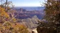 4K Grand Canyon North Rim 09 Tilt Up 4k or 4k+ Resolution