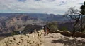 4K Grand Canyon South Rim Dolly 06 Yavapai Point 4k or 4k+ Resolution