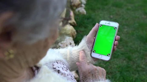 4K Grandmother using and looking at Green Screen Smart Phone in the garden -Dan Stock Footage 73934318