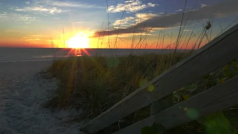 4K Grass Blowing In Wind During Amazing Sunrise in Meblourne, Florida Video stock 104560975
