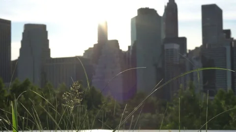 4K+ Grass &amp; View of New York City Skyline Stock Footage 79127005