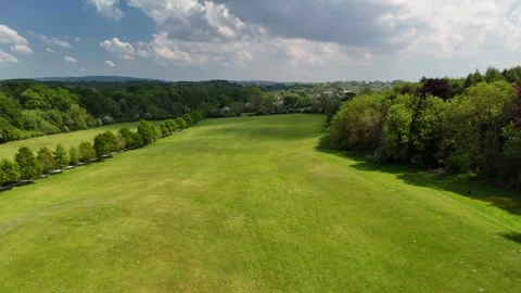 4K Green Field and Tree Line in Countryside Vídeo Stock 333933061