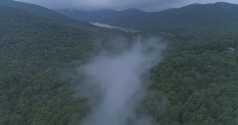 4K Green Forest Valley with Cloud Stock Footage 92339573